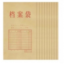 档案袋